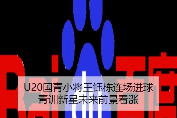 U20国青小将王钰栋连场进球 青训新星未来前景看涨