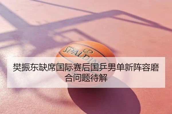 樊振东缺席国际赛后国乒男单新阵容磨合问题待解
